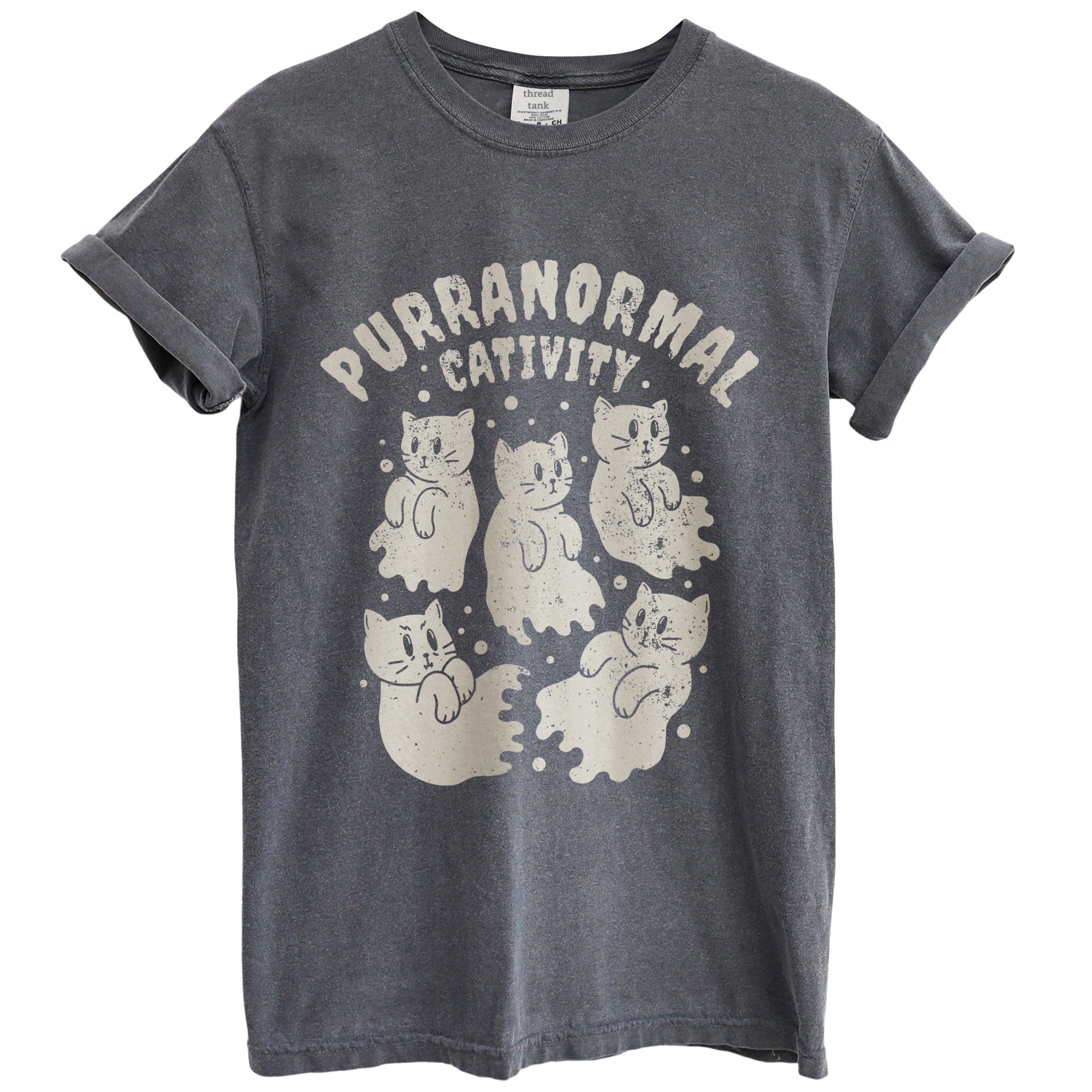 Paranomal Cativity Garment-Dyed Tee - Stories You Can Wear