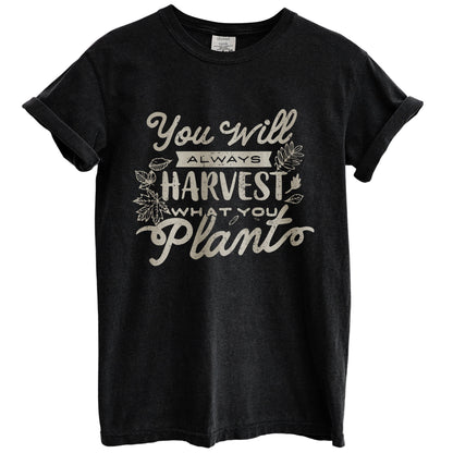 You Will Always Harvest What You Plant